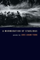 cover of A Murmuration of Starlings