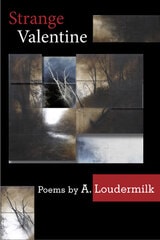 cover of Strange Valentine