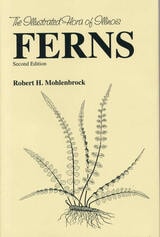 cover of Ferns