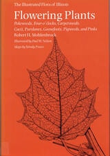 cover of Flowering Plants: Pokeweeds, Four-o'clocks, Carpetweeds, Cacti, Purslanes, Goosefoots, Pigweeds, and Pinks