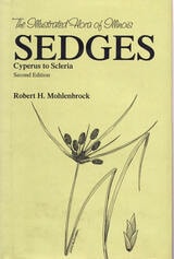 cover of Sedges: Cyperus to Scleria