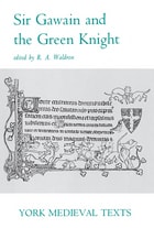 cover of Sir Gawain and the Green Knight