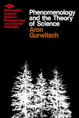 cover of Phenomenology and Theory of Science