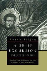cover of A Brief Excursion and Other Stories