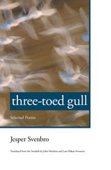 cover of Three-Toed Gull: Selected Poems