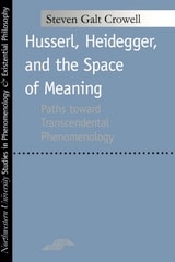 cover of Husserl, Heidegger, and the Space of Meaning: Paths Toward Trancendental Phenomenology