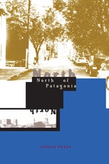 cover of North of Patagonia