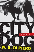 cover of City Dog: Essays