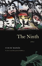 cover of The Ninth: A Novel