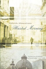 cover of Wasted Morning: A Novel