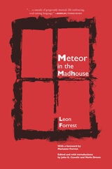 cover of Meteor in the Madhouse