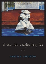 cover of It Seems Like a Mighty Long Time: Poems