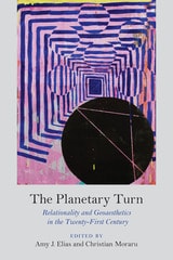 cover of The Planetary Turn: Relationality and Geoaesthetics in the Twenty-First Century