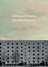 cover of Delinquent Palaces: Poems