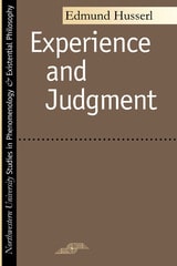 cover of Experience and Judgment
