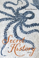 cover of Secret History: Poems