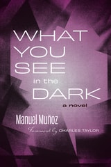 cover of What You See in the Dark: A Novel