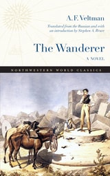cover of The Wanderer: A Novel