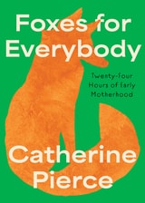 cover of Foxes for Everybody: Twenty-Four Hours of Early Motherhood