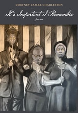 cover of It's Important I Remember: Poems