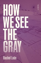 cover of How We See the Gray: A Novel