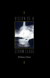 cover of Vision of a Storm Cloud