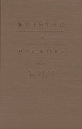 cover of Ruining the Picture