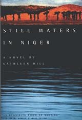 cover of Still Waters in Niger