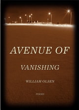 cover of Avenue of Vanishing