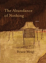 cover of The Abundance of Nothing: Poems