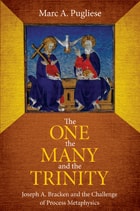 cover of The One, the Many, and the Trinity: Joseph A. Bracken and the Challenge of Process Metaphysics
