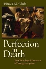 cover of Perfection in Death