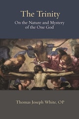 cover of The Trinity: On the Nature and Mystery of the One God