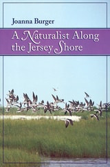 cover of A Naturalist Along the Jersey Shore