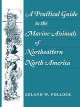 cover of A Practical Guide to the Marine Animals of Northeastern North America