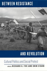 cover of Between Resistance and Revolution: Cultural Politics and Social Protest