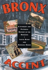 cover of Bronx Accent: A Literary and Pictorial History of the Borough