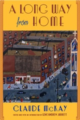 cover of A Long Way From Home