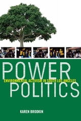 cover of Power Politics: Environmental Activism in South Los Angeles