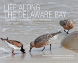 cover of Life Along the Delaware Bay: Cape May, Gateway to a Million Shorebirds