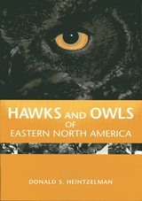 cover of Hawks and Owls of Eastern North America