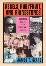 cover of Rebels, Rubyfruit, and Rhinestones: Queering Space in the Stonewall South