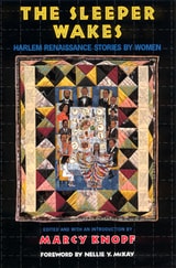 cover of The Sleeper Wakes: Harlem Renaissance Stories by Women