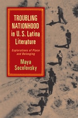 cover of Troubling Nationhood in U.S. Latina Literature: Explorations of Place and Belonging