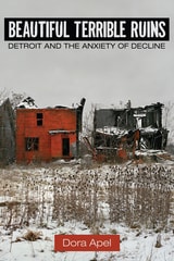 cover of Beautiful Terrible Ruins: Detroit and the Anxiety of Decline