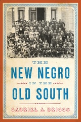 cover of The New Negro in the Old South