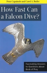cover of How Fast Can A Falcon Dive?: Fascinating Answers to Questions about Birds of Prey
