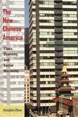 cover of The New Chinese America: Class, Economy, and Social Hierarchy