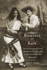 cover of The Romance of Race: Incest, Miscegenation, and Multiculturalism in the United States, 1880-1930