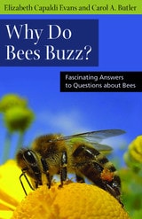 cover of Why Do Bees Buzz?: Fascinating Answers to Questions about Bees